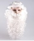 Professional Santa Claus Wig and Beard Set HX-001